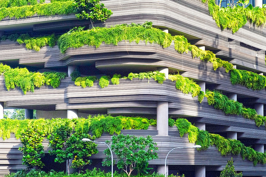 Building with trees 3